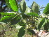  ( - PPRI-0050)  @11 [ ] No Rights Reserved  Unspecified Unspecified