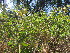  ( - PPRI-0053)  @11 [ ] No Rights Reserved  Unspecified Unspecified