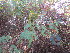  ( - PPRI-0053)  @11 [ ] No Rights Reserved  Unspecified Unspecified