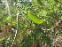  ( - PPRI-0053)  @11 [ ] No Rights Reserved  Unspecified Unspecified