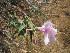  ( - PPRI-0059)  @11 [ ] No Rights Reserved  Unspecified Unspecified