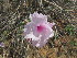  ( - PPRI-0059)  @11 [ ] No Rights Reserved  Unspecified Unspecified