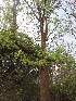  ( - PPRI-0065)  @11 [ ] No Rights Reserved  Unspecified Unspecified