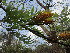  ( - PPRI-0065)  @11 [ ] No Rights Reserved  Unspecified Unspecified