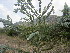  ( - PPRI-0068)  @12 [ ] No Rights Reserved  Unspecified Unspecified