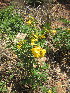  ( - PPRI-0072)  @11 [ ] No Rights Reserved  Unspecified Unspecified