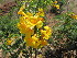  ( - PPRI-0072)  @11 [ ] No Rights Reserved  Unspecified Unspecified