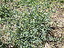  ( - PPRI-0114)  @11 [ ] No Rights Reserved  Unspecified Unspecified