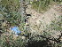  ( - PPRI-0114)  @11 [ ] No Rights Reserved  Unspecified Unspecified