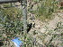  ( - PPRI-0114)  @11 [ ] No Rights Reserved  Unspecified Unspecified