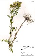  ( - PR929)  @11 [ ] No Rights Reserved  Unspecified Unspecified