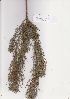  ( - Stirton13371)  @11 [ ] No Rights Reserved  Unspecified Unspecified