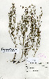  ( - WilliamsR.1193)  @11 [ ] No Rights Reserved  Unspecified Unspecified