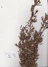  ( - AMM6138)  @11 [ ] No Rights Reserved  Unspecified Unspecified