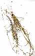  ( - RBN277)  @11 [ ] No Rights Reserved  Unspecified Unspecified