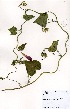  ( - RMK0001)  @11 [ ] No Rights Reserved  Unspecified Unspecified