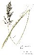  ( - SM0009)  @11 [ ] No Rights Reserved  Unspecified Unspecified