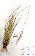  ( - SM0014)  @11 [ ] No Rights Reserved  Unspecified Unspecified