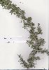  ( - MuasyaMoiloa30)  @11 [ ] No Rights Reserved  Unspecified Unspecified