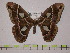  ( - BC-FMP-0058)  @13 [ ] Copyright (2010) Unspecified Research Collection of Frank Meister