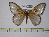  ( - BC-FMP-0140)  @13 [ ] Copyright (2010) Unspecified Research Collection of Frank Meister