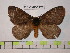  ( - BC-FMP-0176)  @13 [ ] Copyright (2010) Unspecified Research Collection of Frank Meister