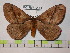  ( - BC-FMP-0183)  @14 [ ] Copyright (2010) Unspecified Research Collection of Frank Meister