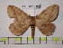  ( - BC-FMP-0193)  @14 [ ] Copyright (2010) Unspecified Research Collection of Frank Meister