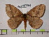  ( - BC-FMP-0200)  @14 [ ] Copyright (2010) Unspecified Research Collection of Frank Meister