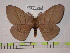  ( - BC-FMP-0233)  @14 [ ] Copyright (2010) Unspecified Research Collection of Frank Meister
