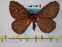  ( - BC-FMP-0310)  @13 [ ] Copyright (2010) Unspecified Research Collection of Frank Meister
