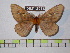  ( - BC-FMP-0313)  @13 [ ] Copyright (2010) Unspecified Research Collection of Frank Meister