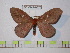  ( - BC-FMP-0320)  @11 [ ] Copyright (2010) Unspecified Research Collection of Frank Meister
