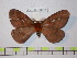  ( - BC-FMP-0321)  @12 [ ] Copyright (2010) Unspecified Research Collection of Frank Meister