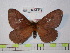  ( - BC-FMP-0322)  @11 [ ] Copyright (2010) Unspecified Research Collection of Frank Meister