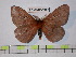  ( - BC-FMP-0326)  @11 [ ] Copyright (2010) Unspecified Research Collection of Frank Meister