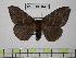  ( - BC-FMP-0338)  @14 [ ] Copyright (2010) Unspecified Research Collection of Frank Meister
