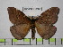  ( - BC-FMP-0346)  @14 [ ] Copyright (2010) Unspecified Research Collection of Frank Meister