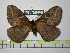 ( - BC-FMP-0374)  @13 [ ] Copyright (2010) Unspecified Research Collection of Frank Meister