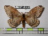  ( - BC-FMP-0389)  @13 [ ] Copyright (2010) Unspecified Research Collection of Frank Meister