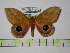  ( - BC-FMP-0425)  @14 [ ] Copyright (2010) Unspecified Research Collection of Frank Meister