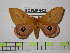  ( - BC-FMP-0427)  @14 [ ] Copyright (2010) Unspecified Research Collection of Frank Meister
