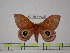  ( - BC-FMP-0429)  @14 [ ] Copyright (2010) Unspecified Research Collection of Frank Meister