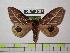  ( - BC-FMP-0452)  @14 [ ] Copyright (2010) Unspecified Research Collection of Frank Meister
