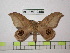  ( - BC-FMP-0458)  @13 [ ] Copyright (2010) Unspecified Research Collection of Frank Meister