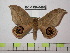  ( - BC-FMP-0461)  @11 [ ] Copyright (2010) Unspecified Research Collection of Frank Meister