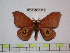  ( - BC-FMP-0566)  @11 [ ] Copyright (2010) Unspecified Research Collection of Frank Meister