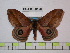  ( - BC-FMP-0568)  @14 [ ] Copyright (2010) Unspecified Research Collection of Frank Meister