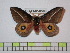  ( - BC-FMP-0588)  @11 [ ] Copyright (2010) Unspecified Research Collection of Frank Meister