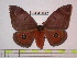 ( - BC-FMP-0627)  @13 [ ] Copyright (2010) Unspecified Research Collection of Frank Meister